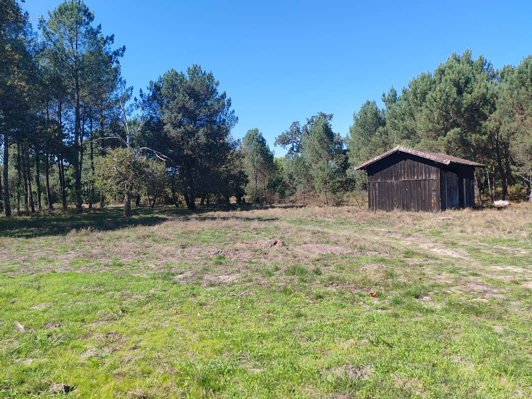 Maison à ONESSE-ET-LAHARIE