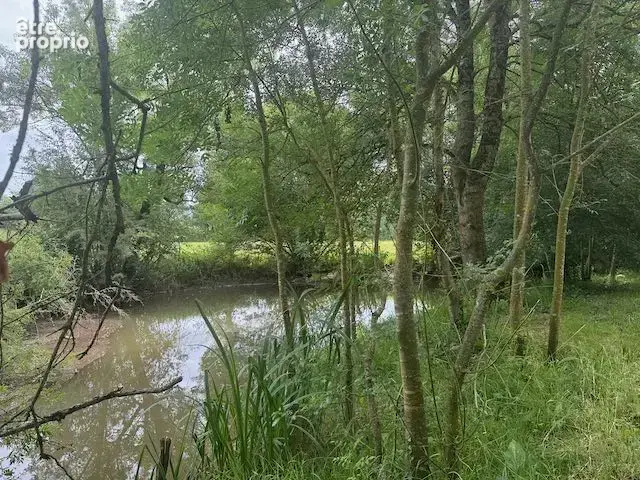Terrain à THIRE