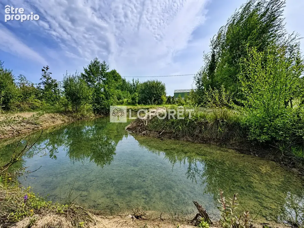 ZUTKERQUE - Local d'activité 210 m² - Places de stationnements - Jardin - Verger - Flaque - Parcelle 12 403 m² - photo 12