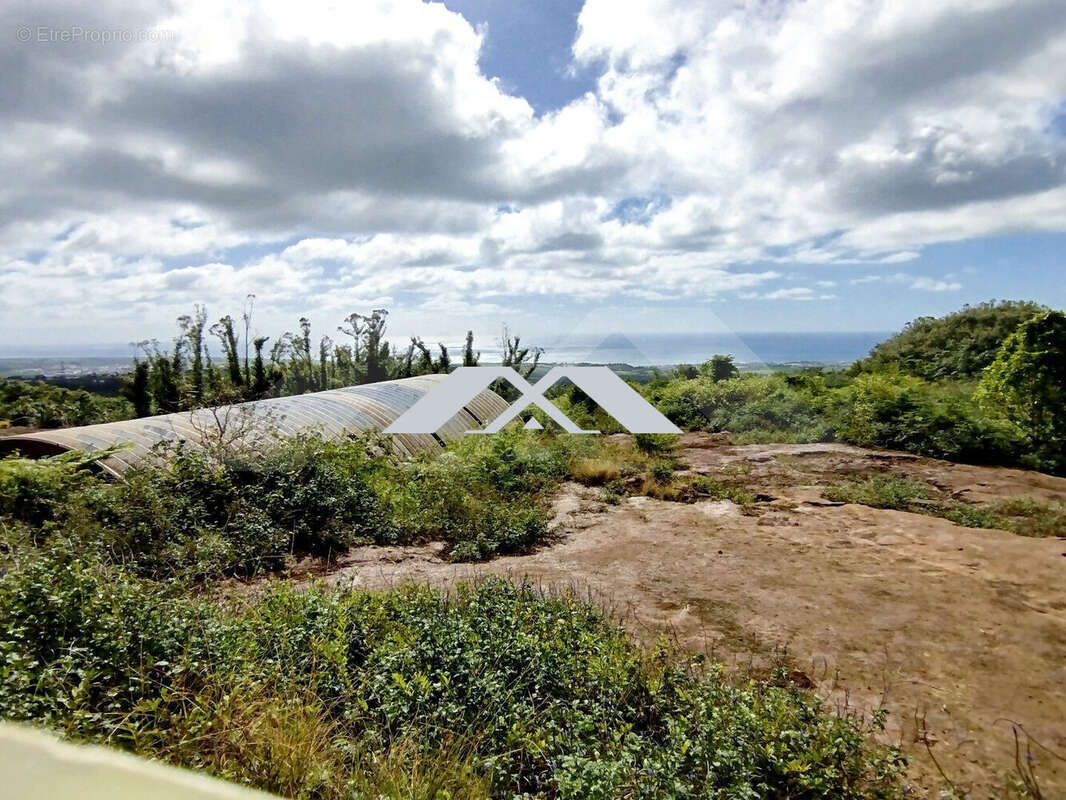 Terrain à SAINT-BENOIT