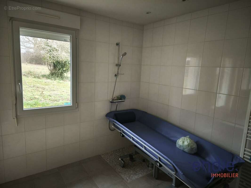 Maison à THENEUILLE