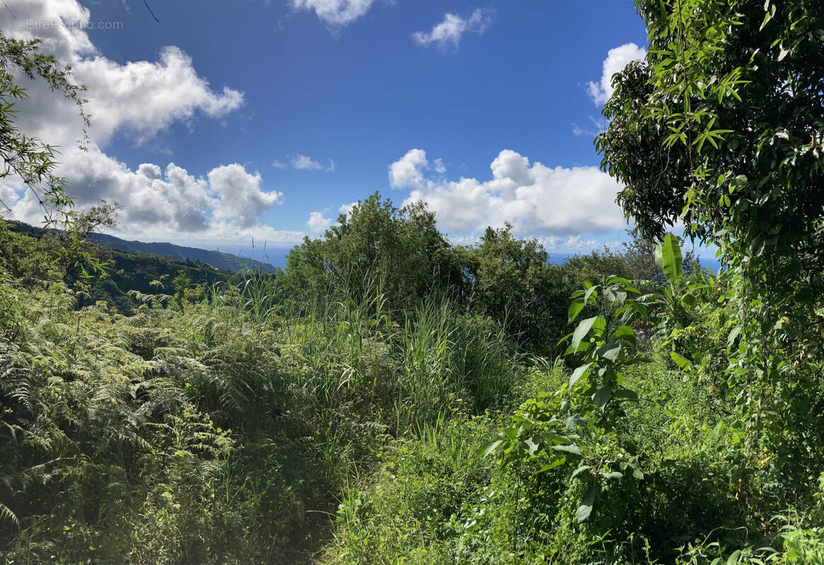 Terrain à SAINT-DENIS