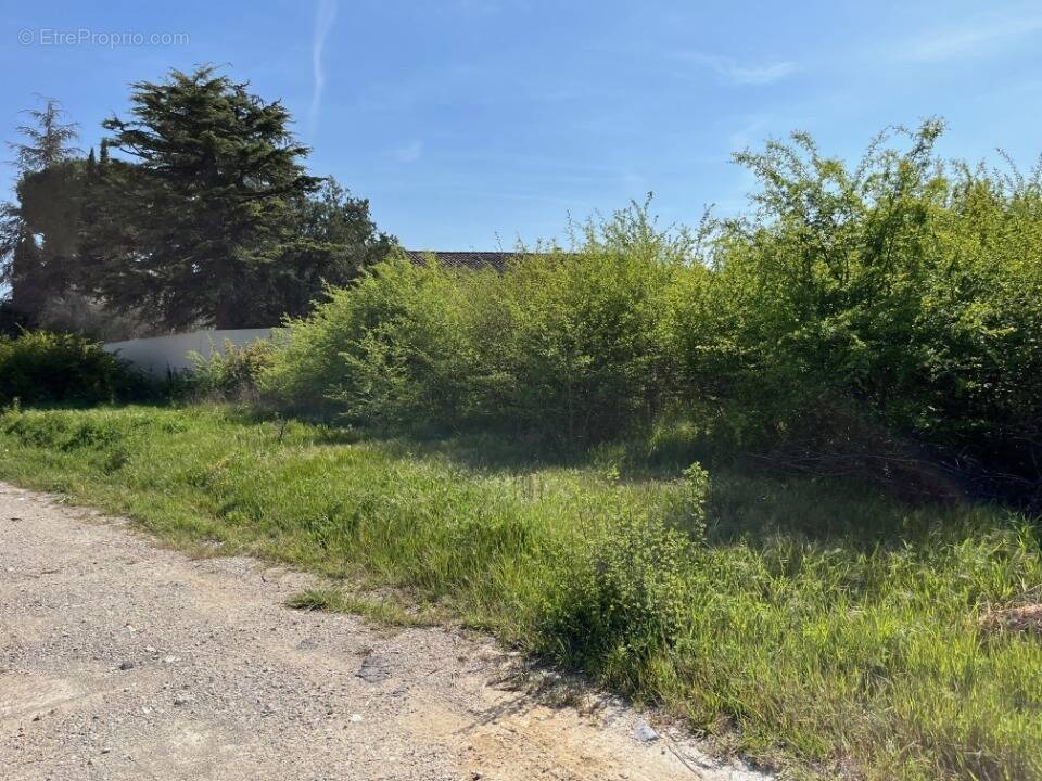 Terrain à VAISON-LA-ROMAINE