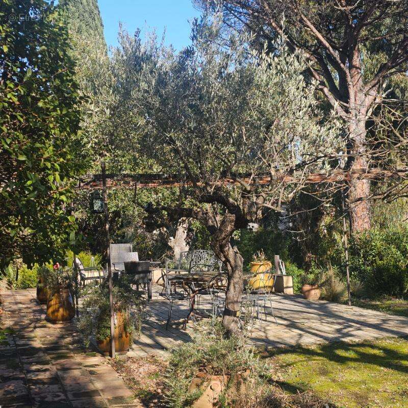 Maison à GRIMAUD