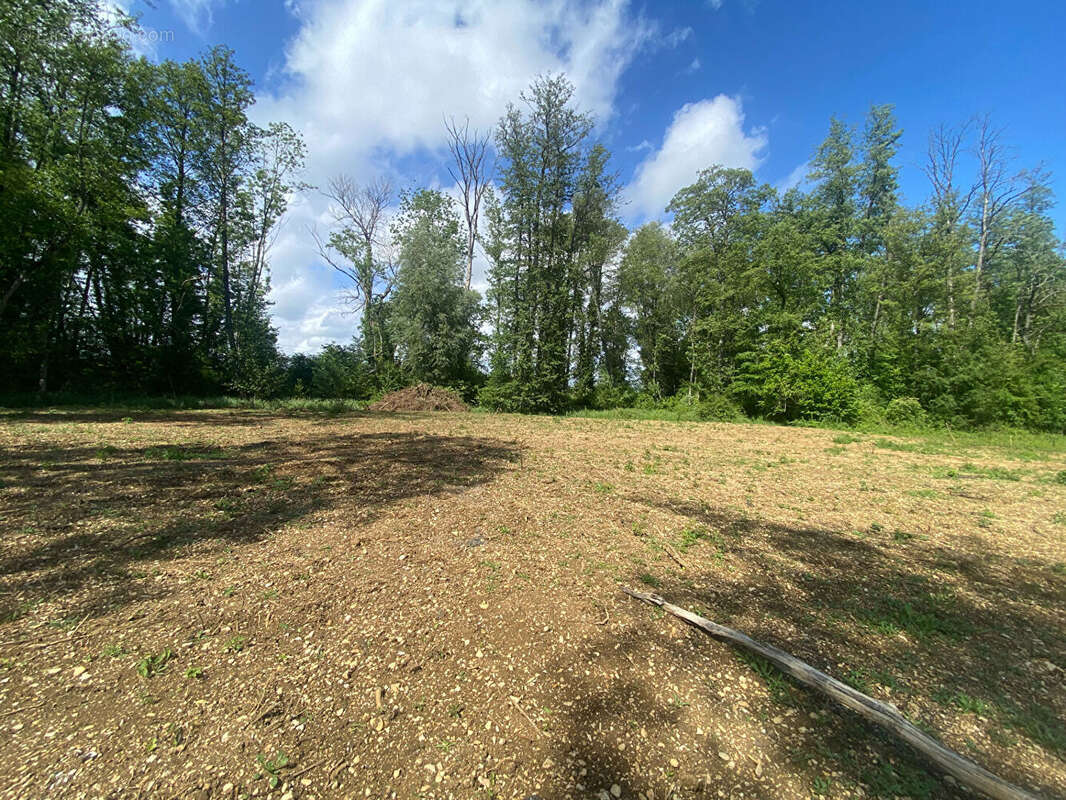 Terrain à HALLIGNICOURT