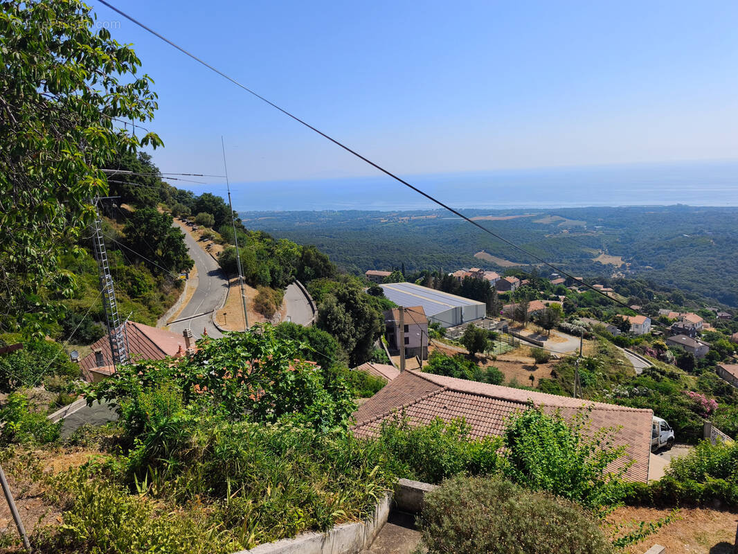 Maison à CERVIONE