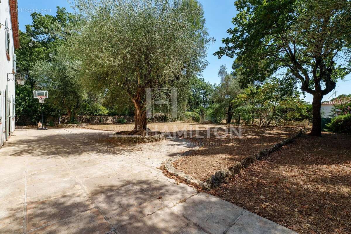 Mas Provençal d’Exception – Piscine 15 x 7 m – Parc Plat de 2 181 m² – Dépendances – Grasse - photo 22