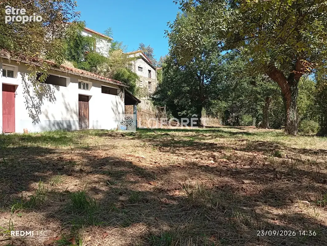 Ancien camping / 2,15 ha - prats de mollo - photo 3
