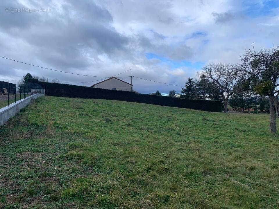 Terrain 850 m² à Monistrol-Sur-Loire  - photo 3