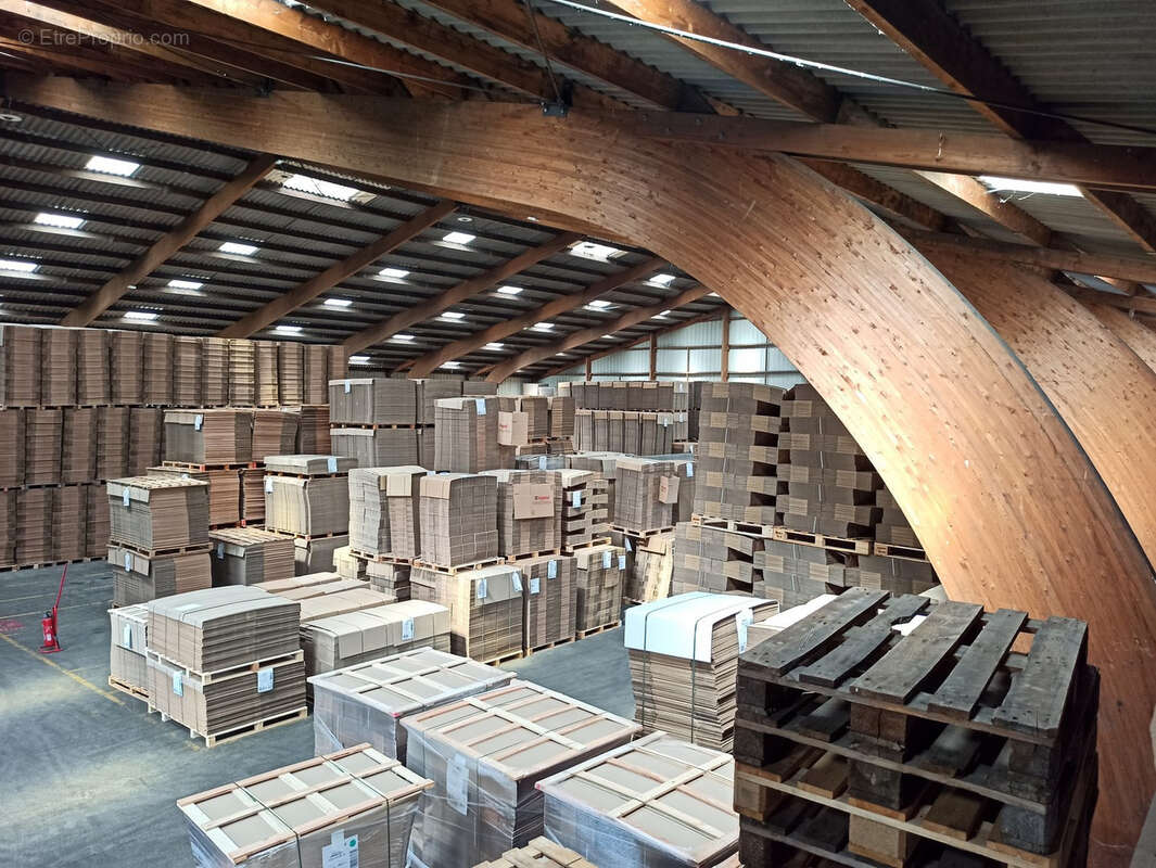 Commerce à SAINT-JUNIEN