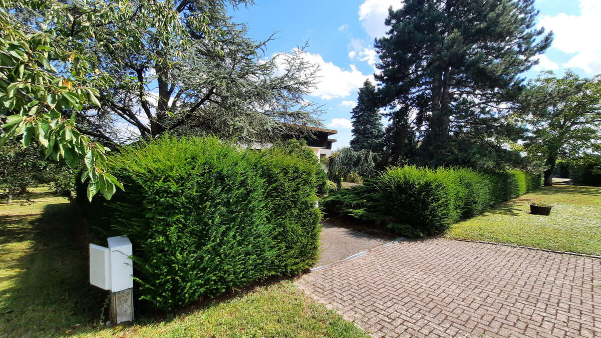 Maison 123 m2 à Uffholtz sur 25 ares - photo 15
