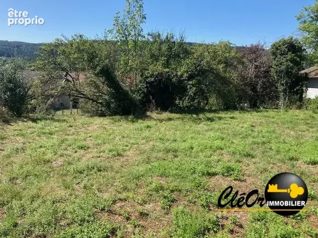 Terrain 995 m² à vendre à Saint-Martin-Du-Frene (01430) - photo 2