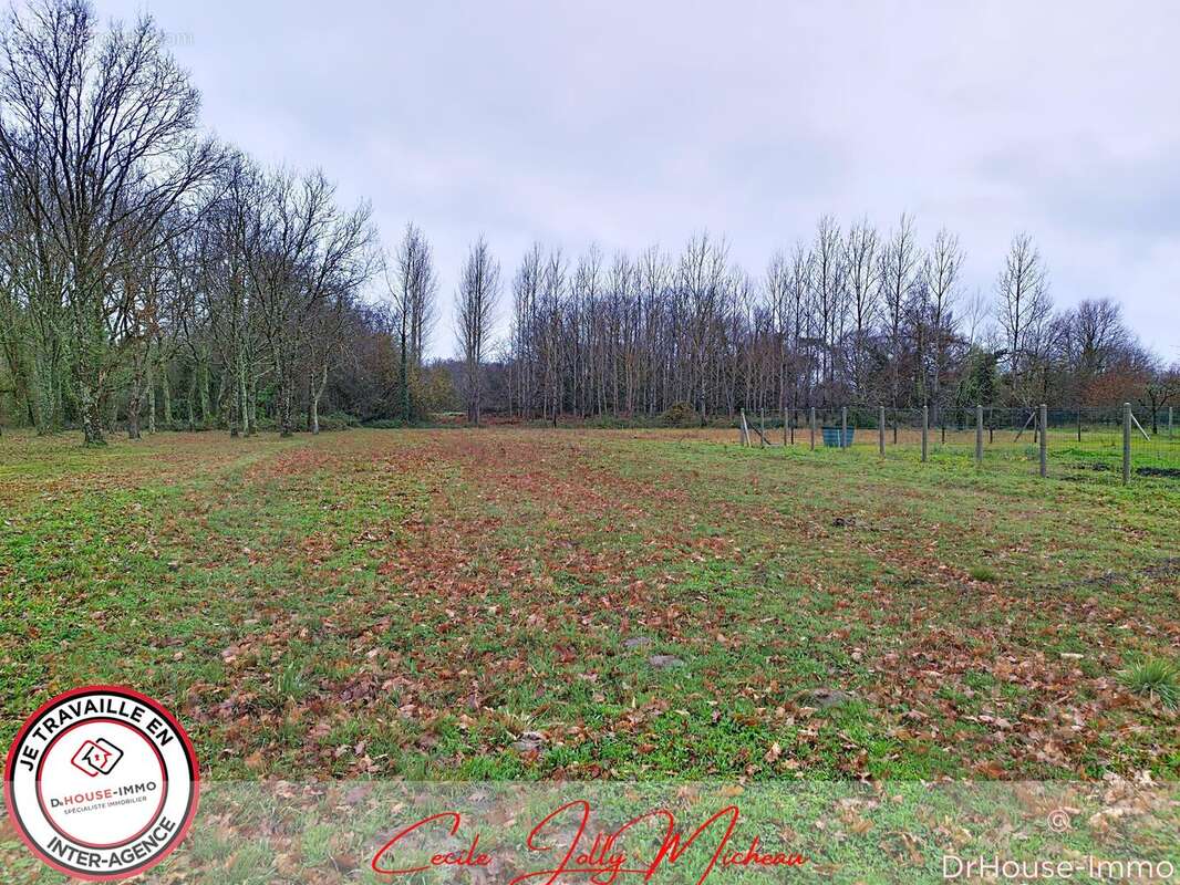 Terrain à BRAUD-ET-SAINT-LOUIS