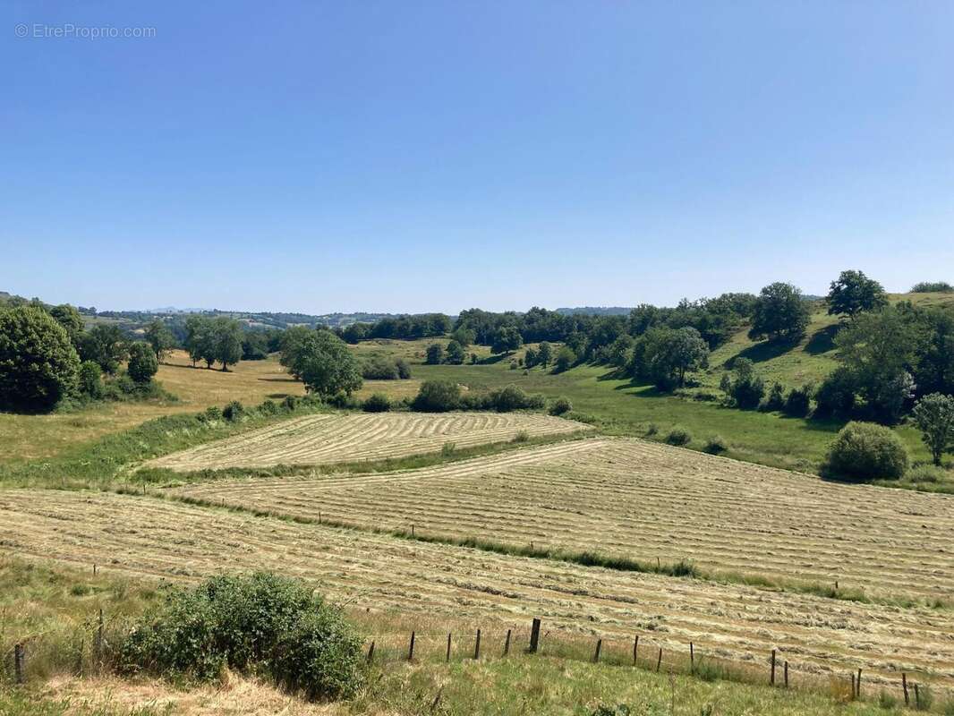 Photo 3 - Maison à LA MONSELIE