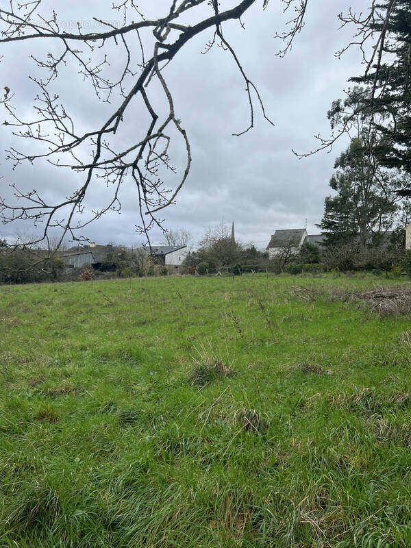 Terrain à LOYAT