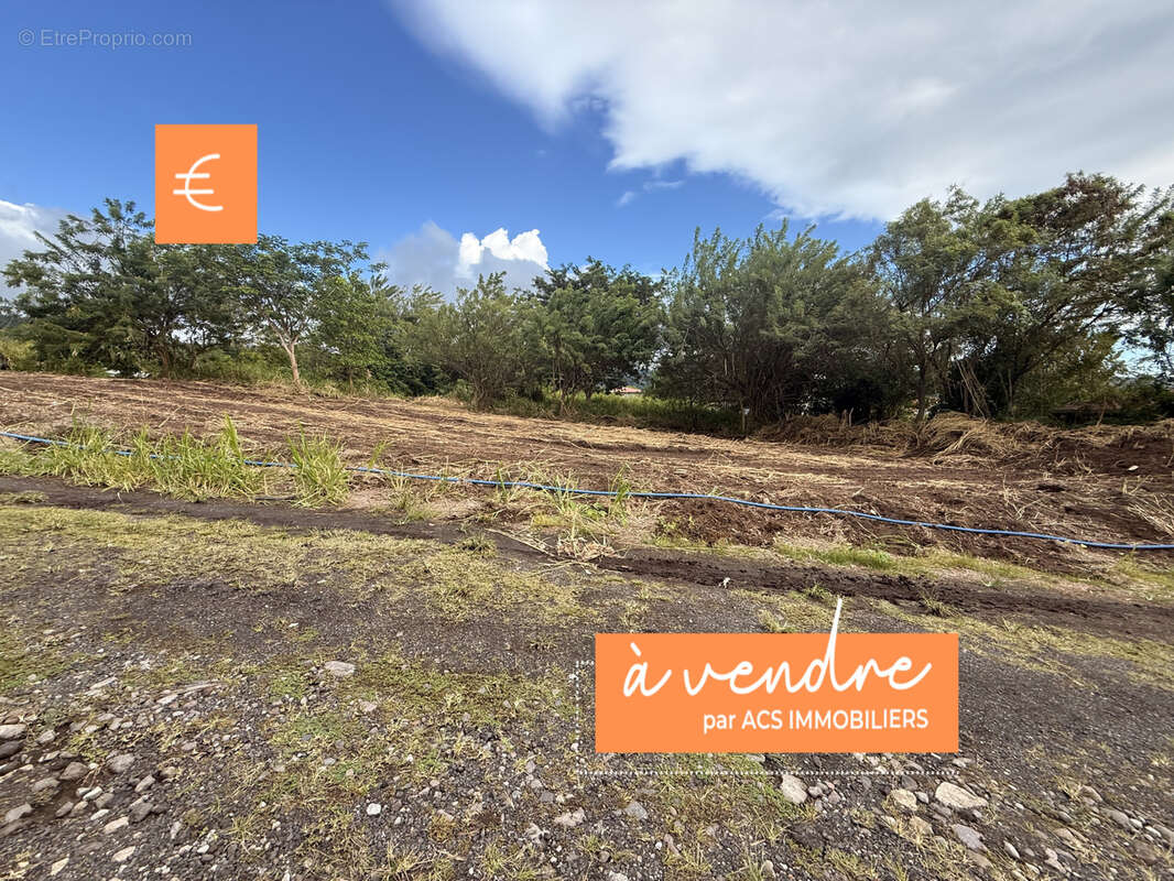 Terrain à SAINT-PIERRE