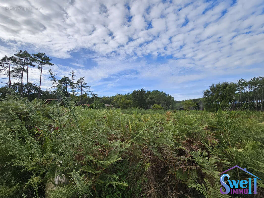 Terrain à MOLIETS-ET-MAA