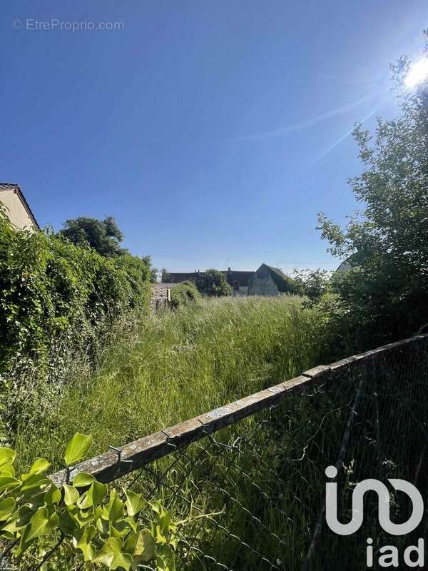 Photo 3 - Terrain à EGREVILLE