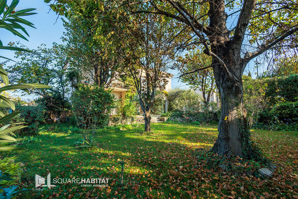 Maison à PLAN-D&#039;ORGON