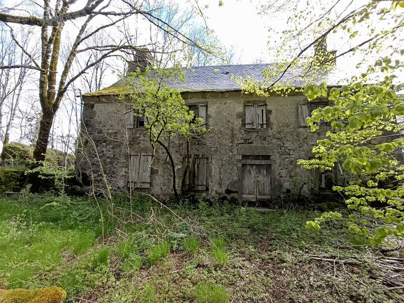Maison à SAINT-VINCENT-DE-SALERS