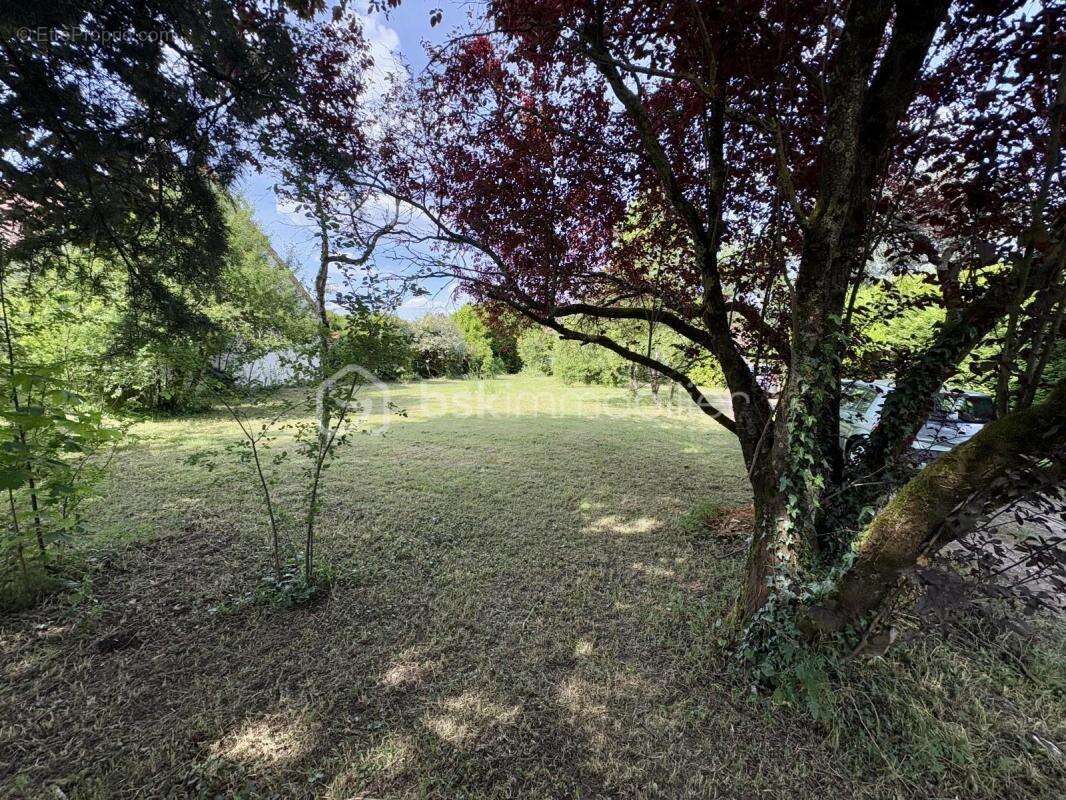 Terrain à VILLORCEAU