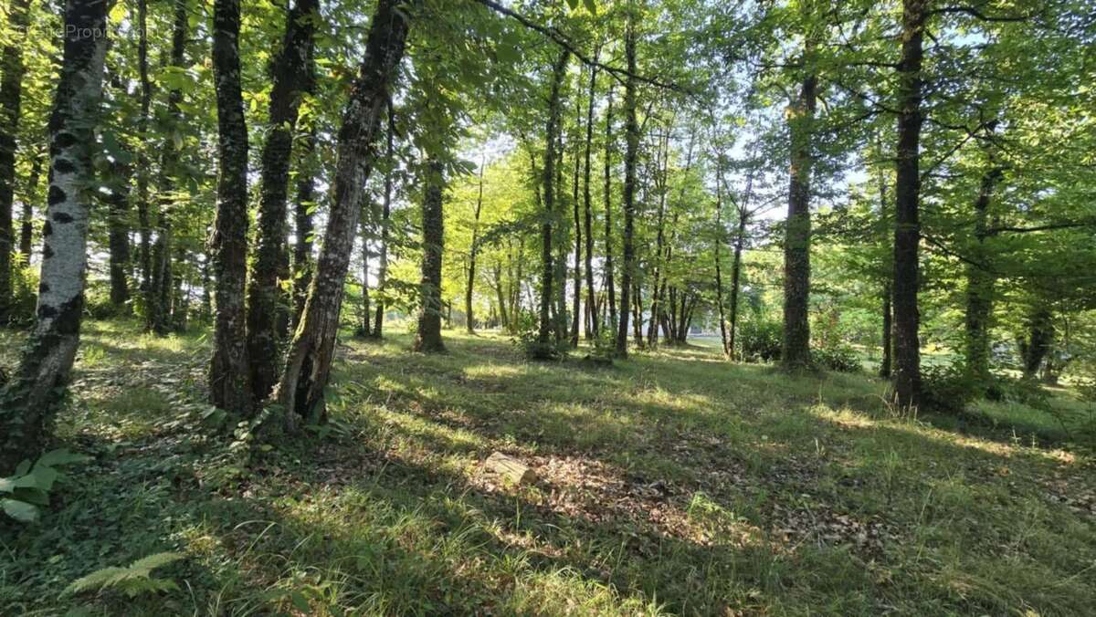 Maison à FOUQUEBRUNE