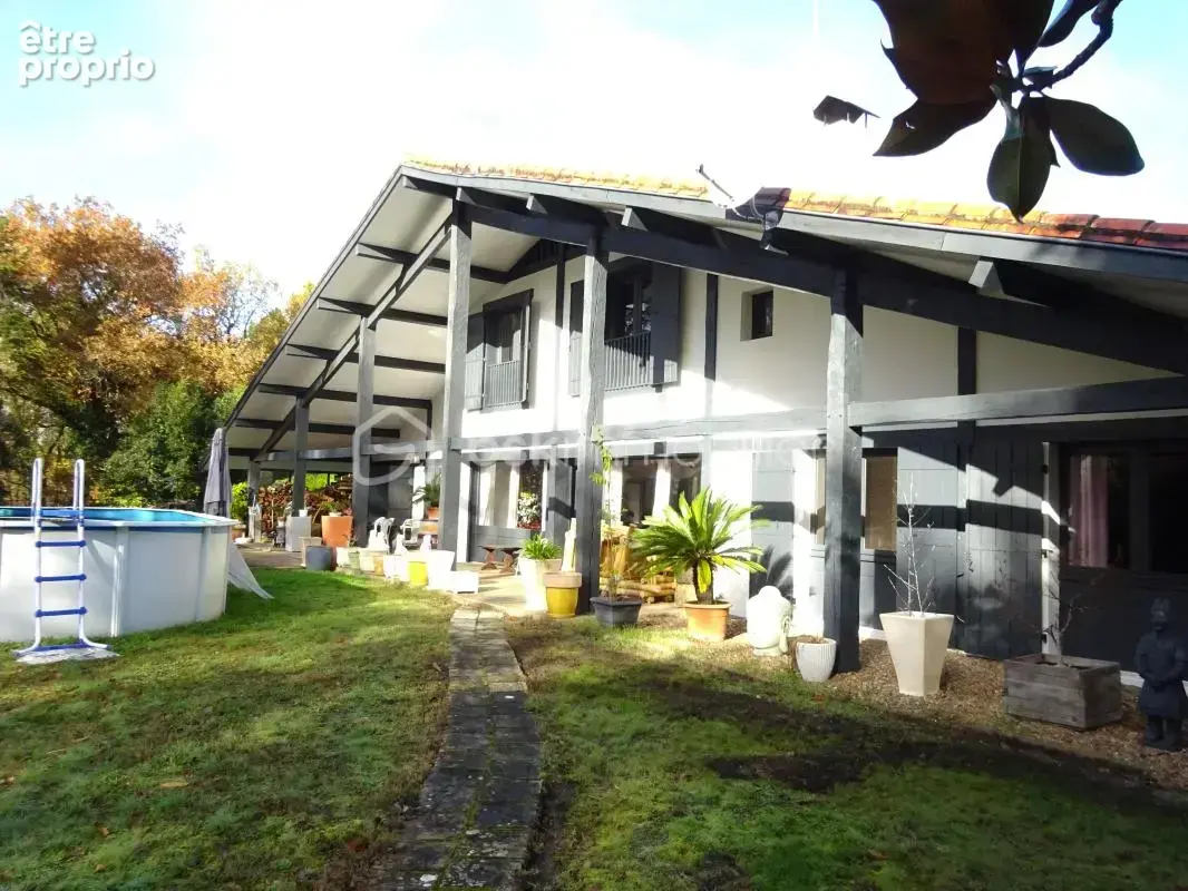 Maison landaise rénovée de 263 m2 à 10 minutes de TARTAS - photo 14