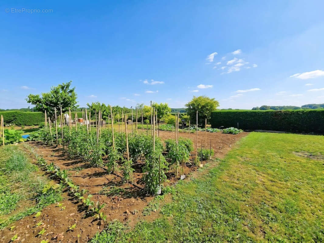 Vaste plain pied familial  avec grand jardin - photo 7