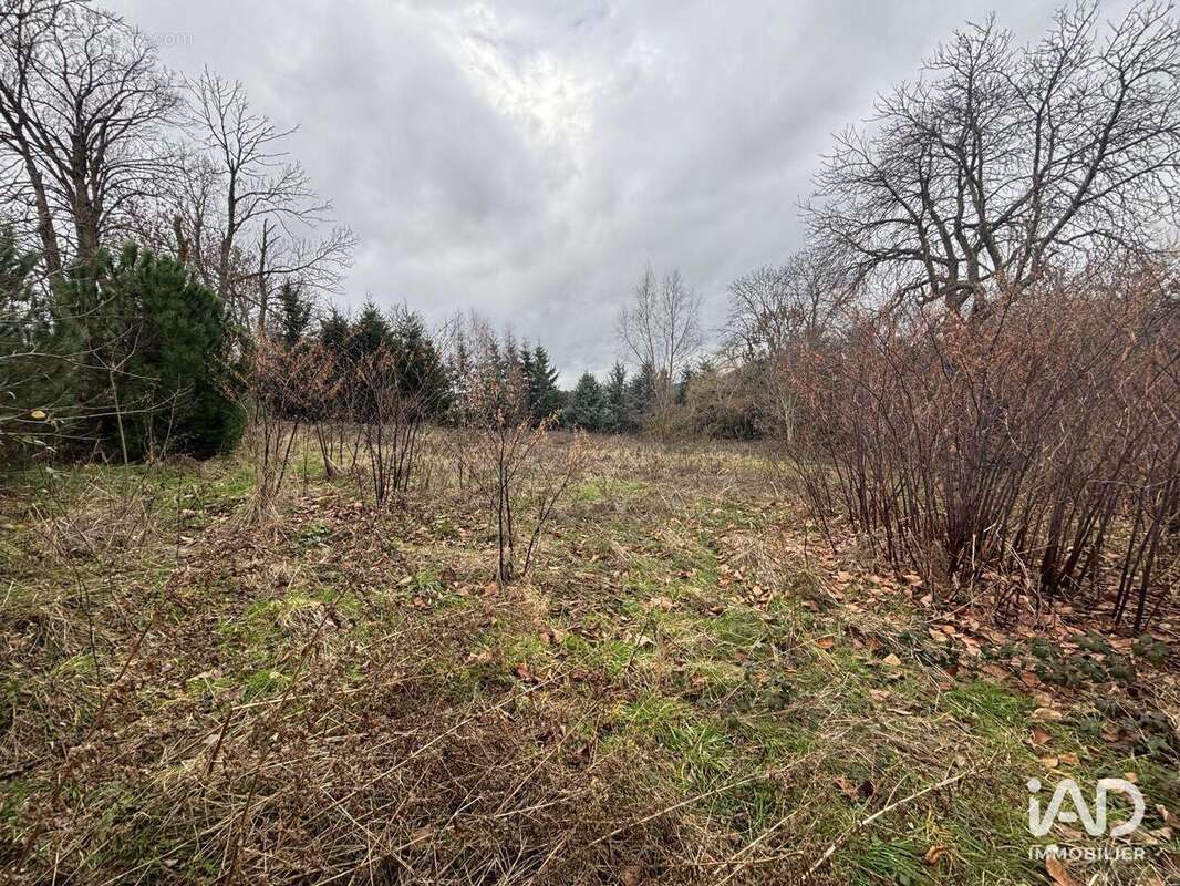 Photo 8 - Maison à YSSINGEAUX