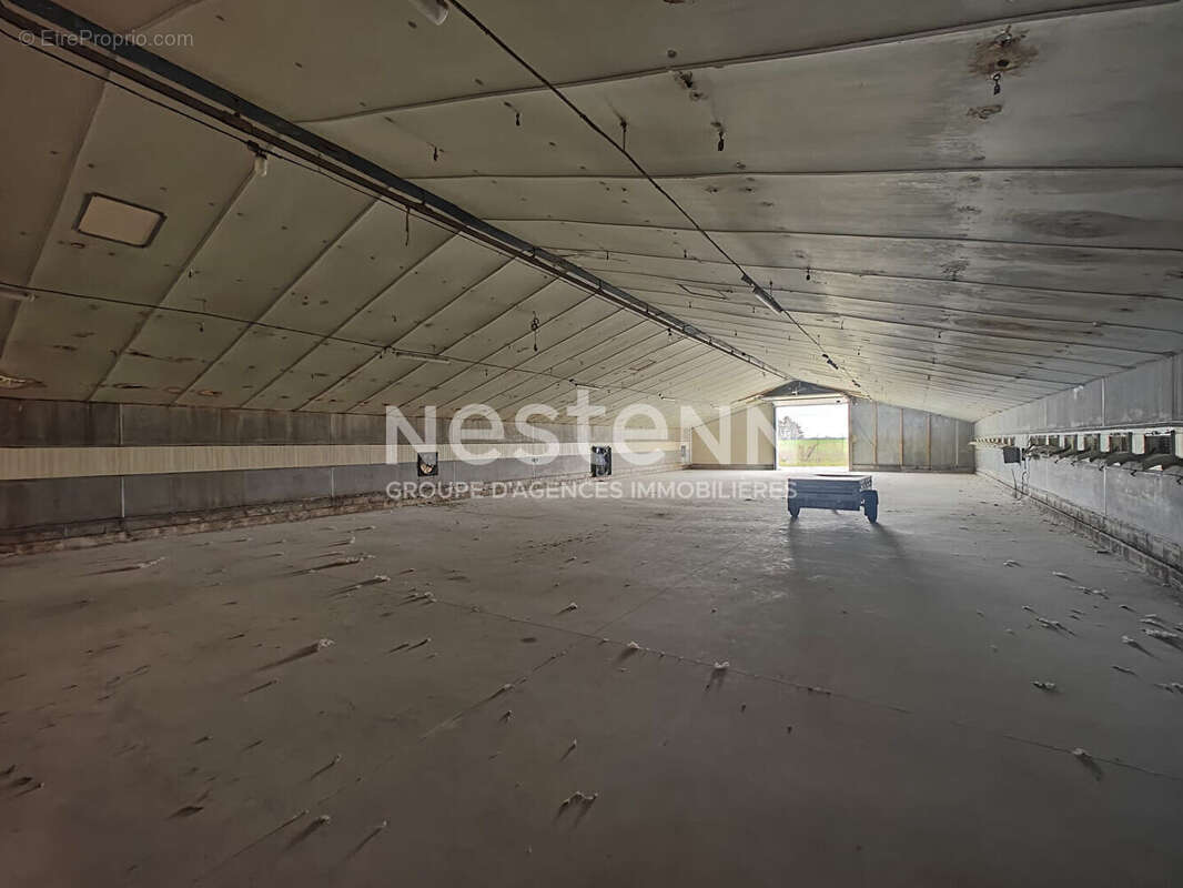 À vendre.  Ensemble de 4 cellules d'activités;  2 000 m² sur terrain de 8 000 m² - photo 2