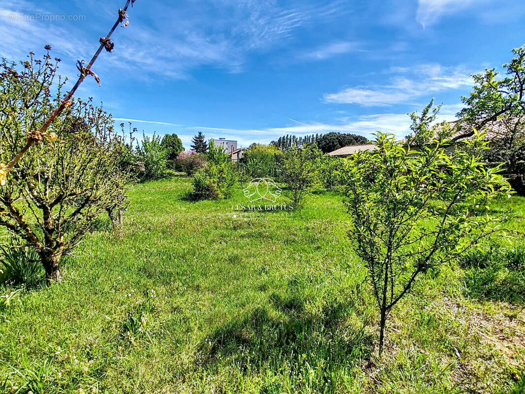 Terrain 535 m² à Saint-Georges-De-Reneins  - photo 5
