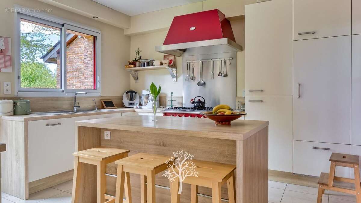 Maison 325 m² à Yvetot  - photo 1361