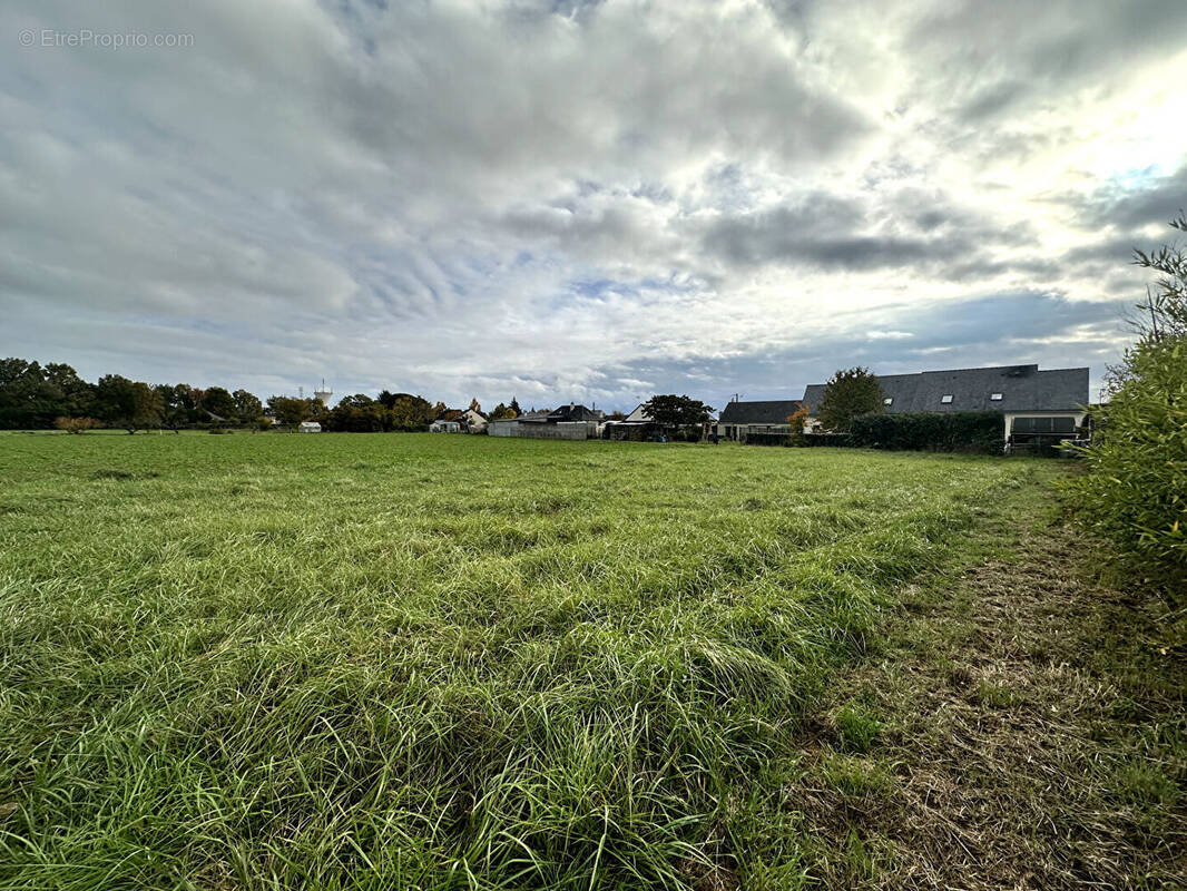 Terrain à SEICHES-SUR-LE-LOIR
