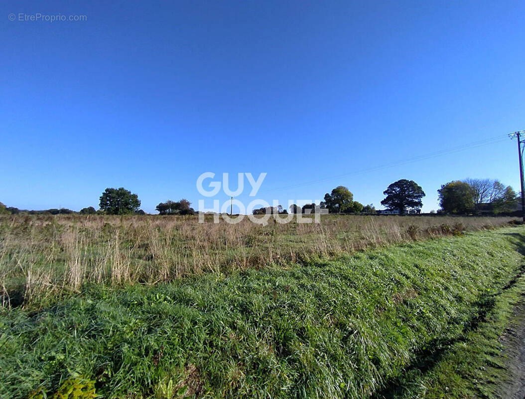 Terrain à BACILLY