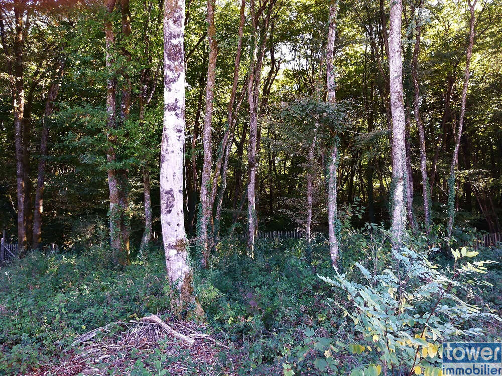 Terrain à PRANZAC