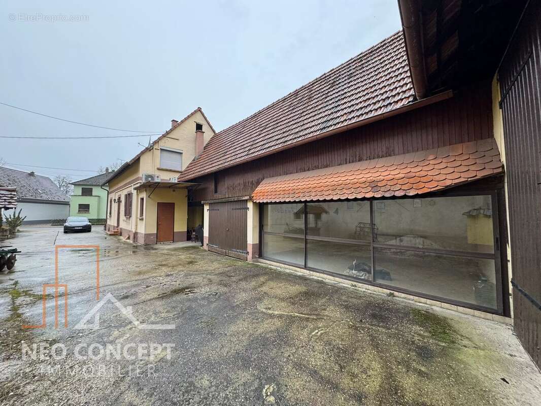 Maison à SCHAFFHOUSE-PRES-SELTZ