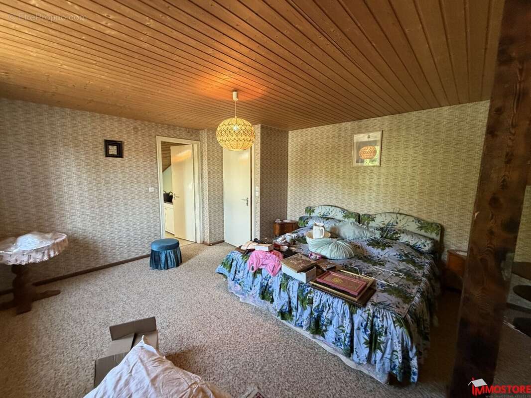 HÉSINGUE  Maison familiale avec fort potentiel d'aménagement - photo 11