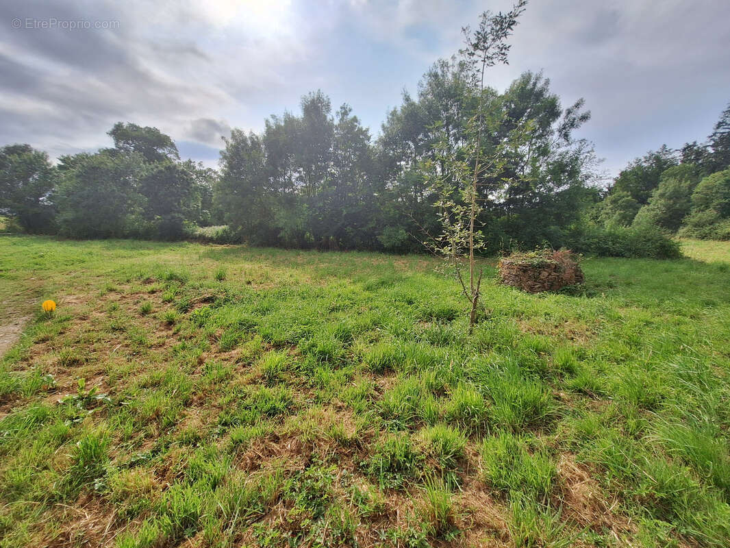 Maison à LA CHAPELLE-HEULIN