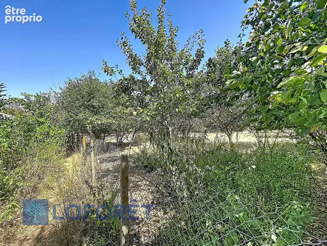 Maison Piseux et dépendances - photo 7