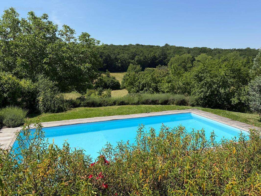 Grange convertie en loft avec maison d'amis, piscine chauffée et dépendances - photo 12