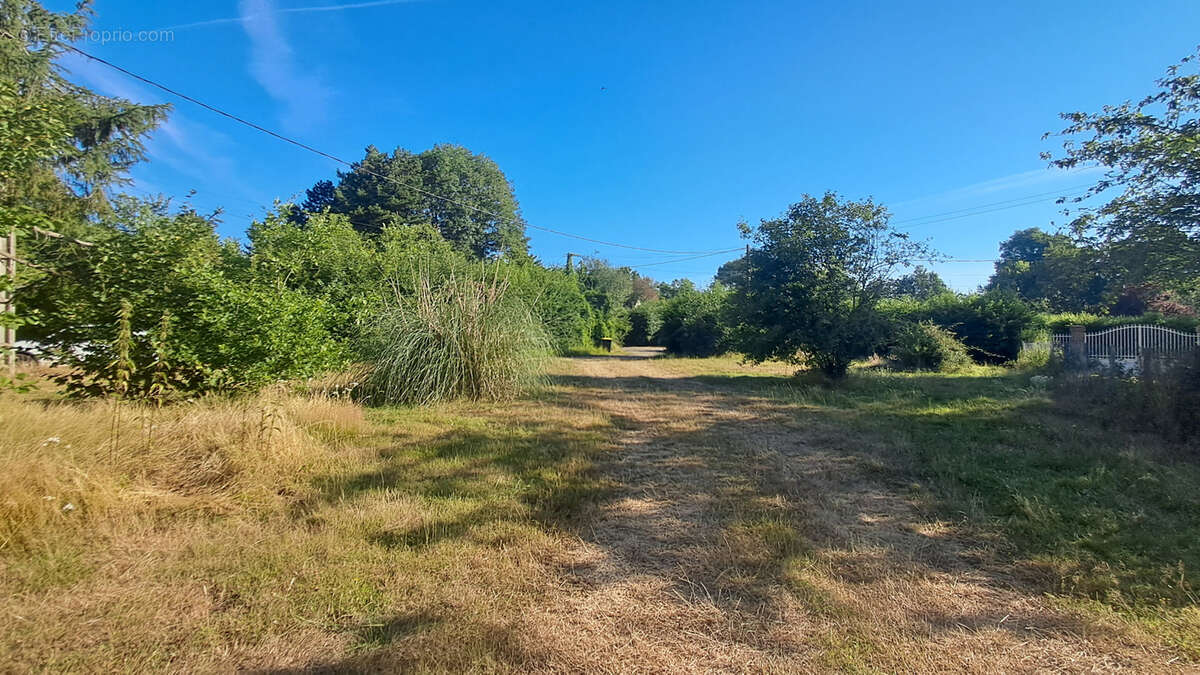 Ancien corps de ferme avec grand terrain - photo 11