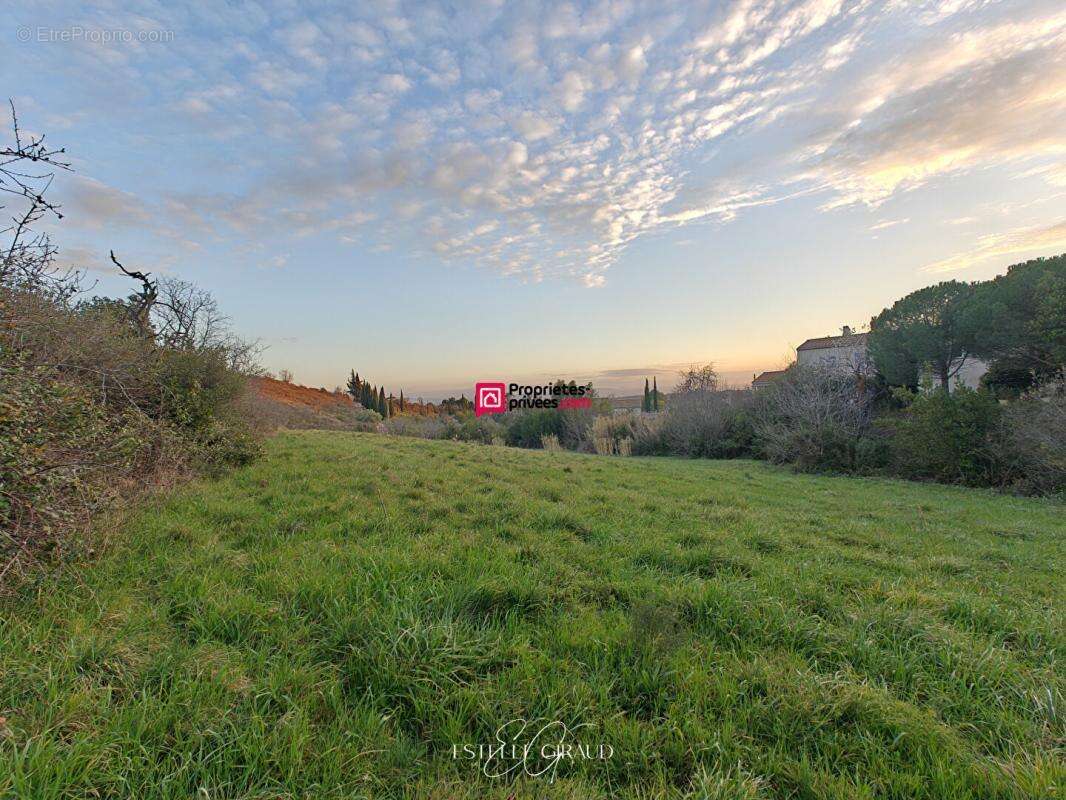 Terrain à bâtir Caunes Minervois 4130 m2 - photo 3