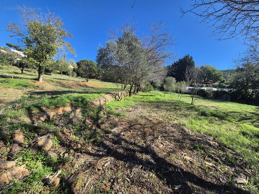 Terrain à LE PRADET