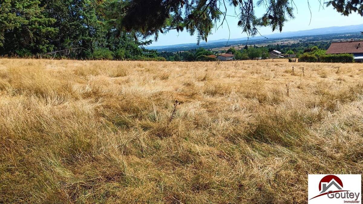 Terrain à SAINT-HAON-LE-CHATEL