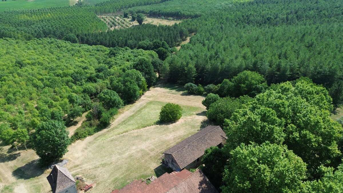 Beau Manoir avec près de 50 hectares de terrain proche de toutes les commodités - photo 3