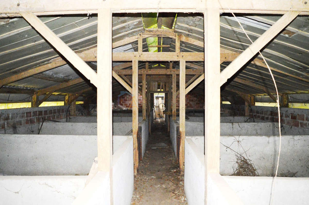 Commerce à CHAMPGENETEUX