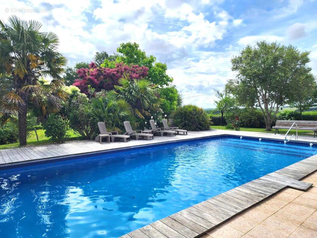 à vendre maison contemporaine avec gite et piscine - Maison à MARCIAC