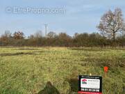 Terrain à SAINT-PIERRE-MONTLIMART