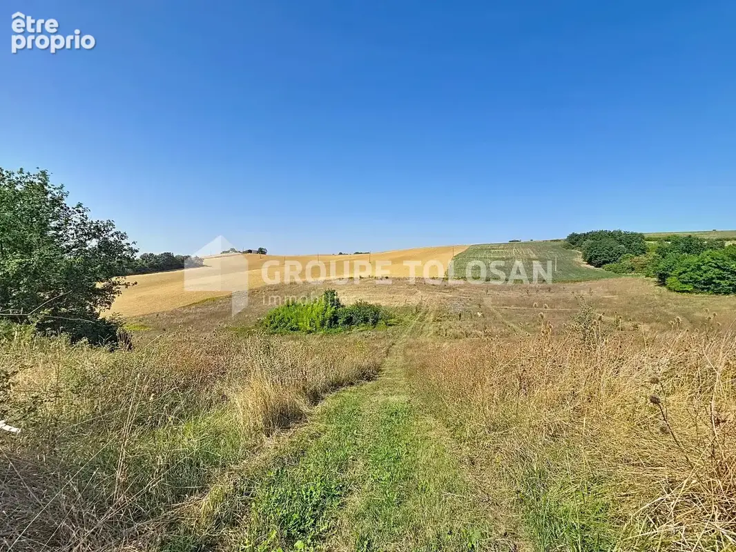 Proche samatan - photo 15