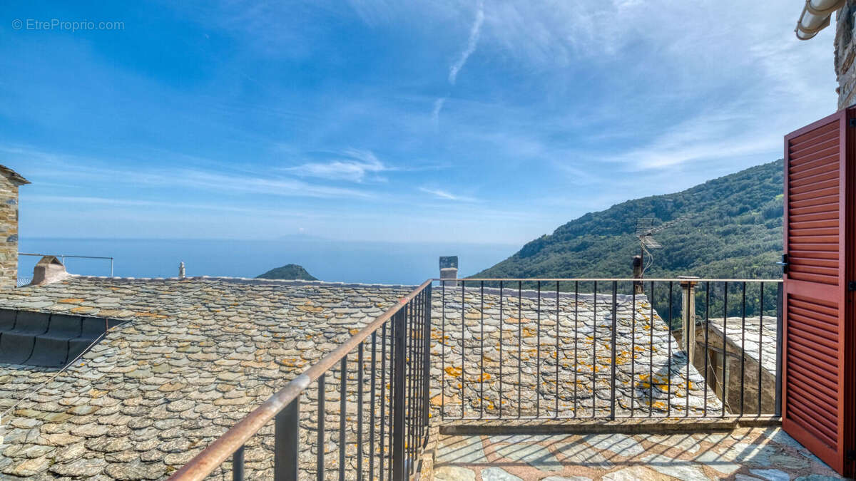 Maison à SAN-MARTINO-DI-LOTA